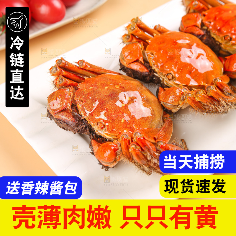 浅底上的大闸蟹