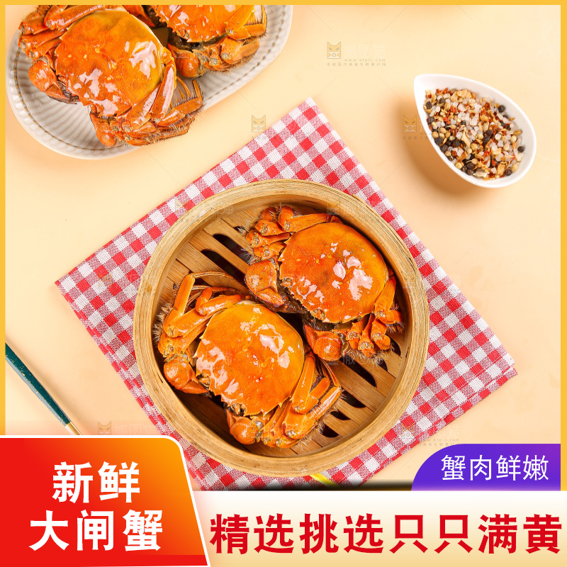 浅底上的大闸蟹