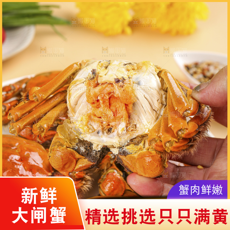 浅底上的大闸蟹