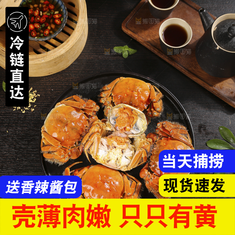 深底上的大闸蟹