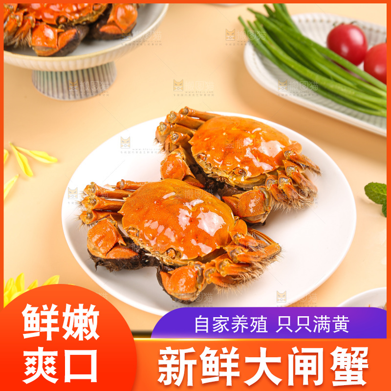 浅底上的大闸蟹