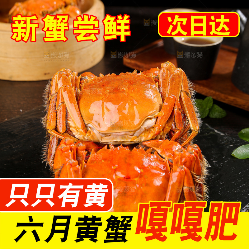 深底上的大闸蟹