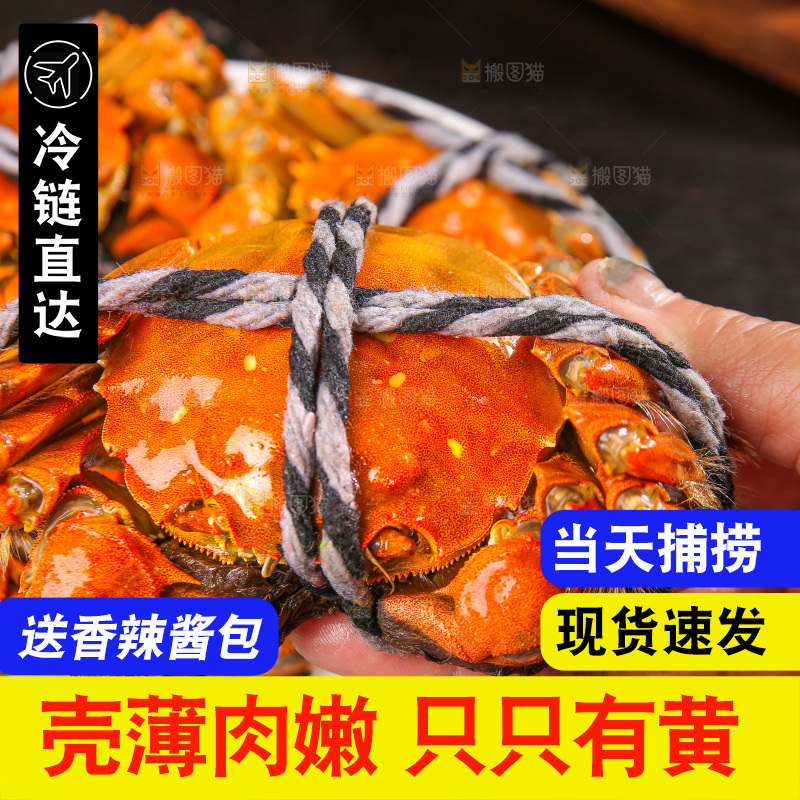 深底上的大闸蟹