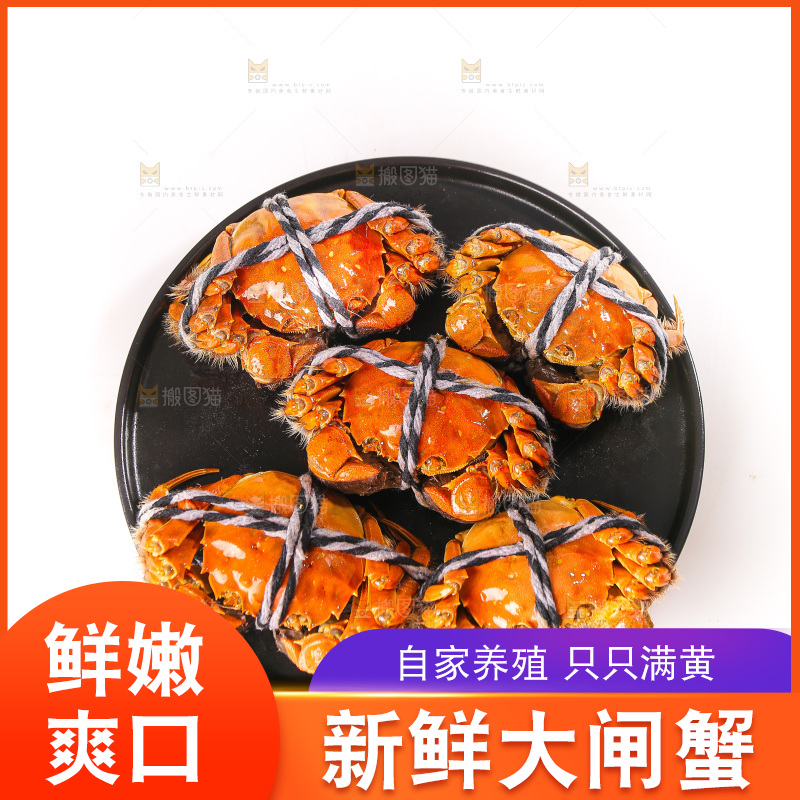 白底上的大闸蟹
