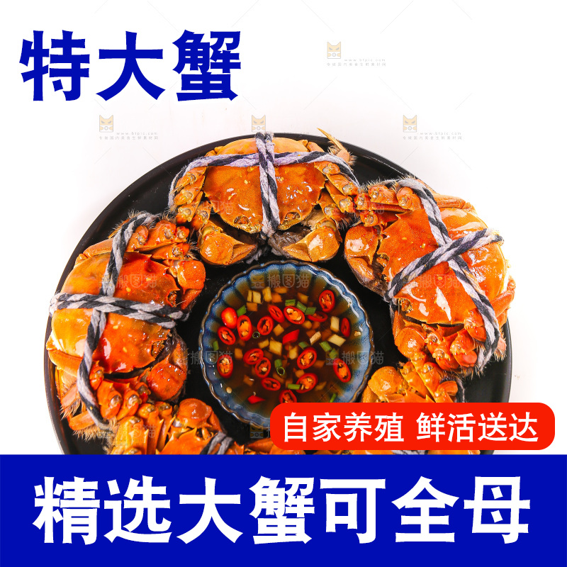 白底上的大闸蟹