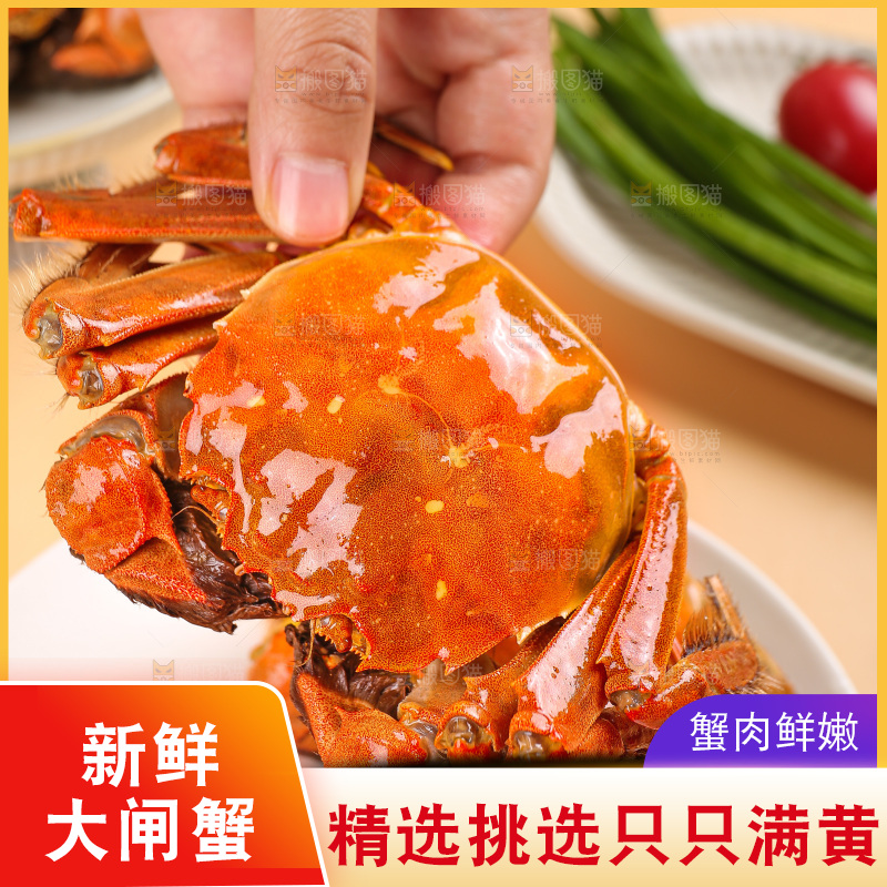 浅底上的大闸蟹