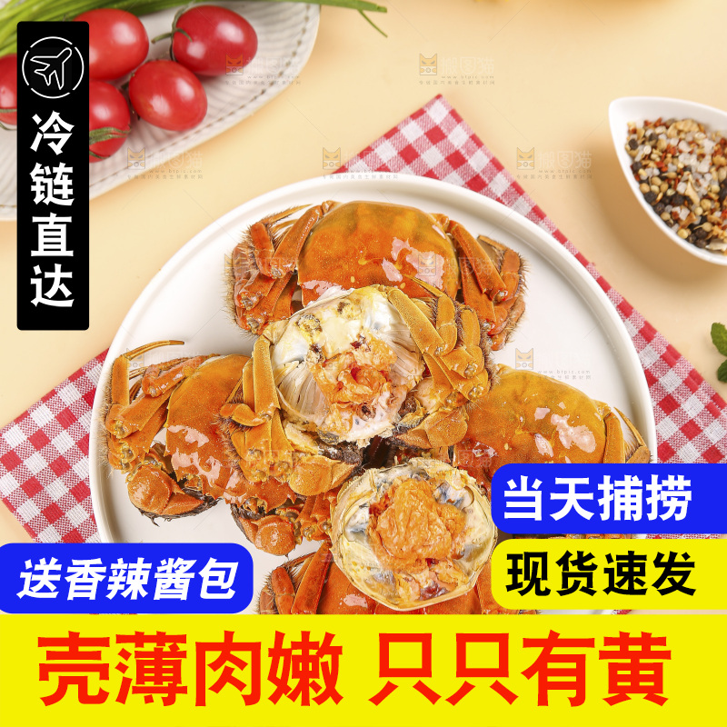 浅底上的大闸蟹