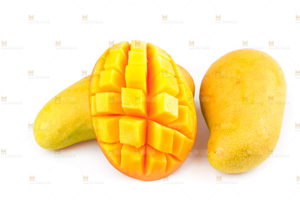 白底上的金煌芒