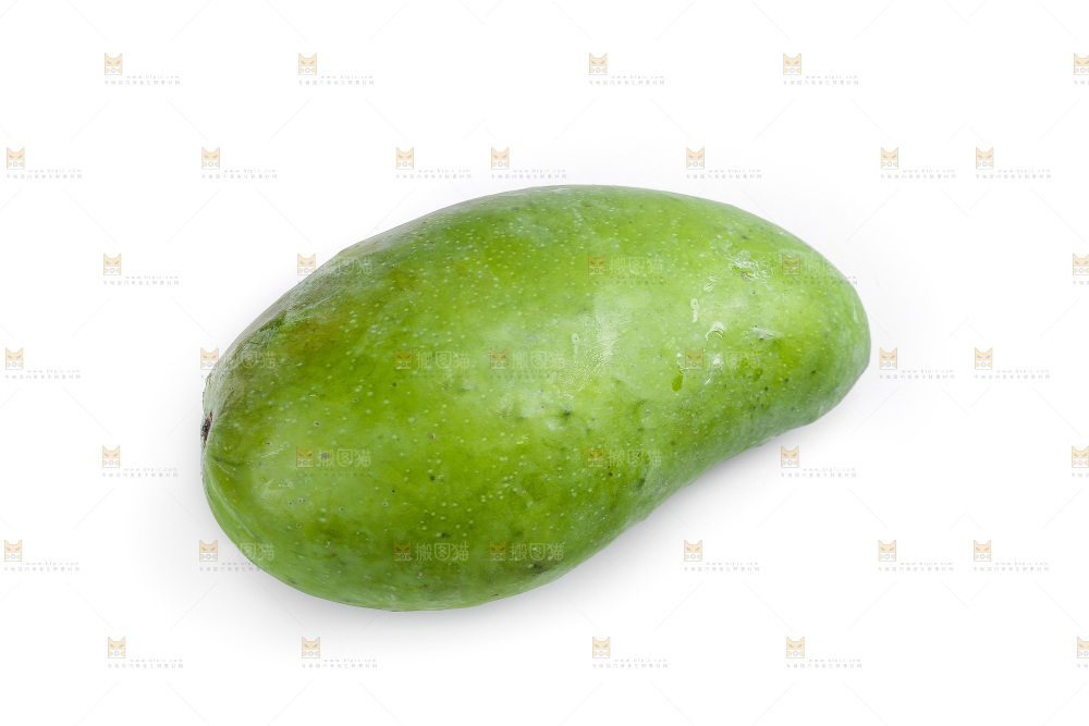 白底上的桂七芒