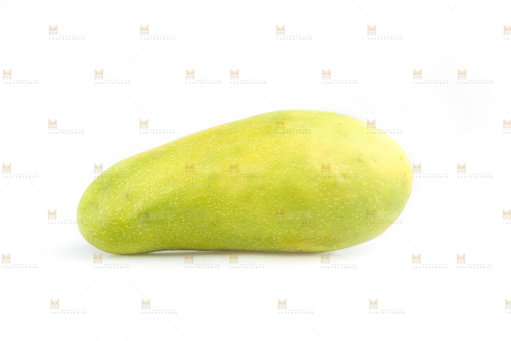 白底上的金煌芒