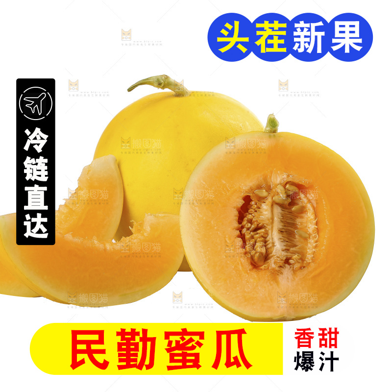 白底上的民勤蜜瓜