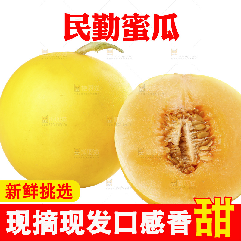 白底上的民勤蜜瓜
