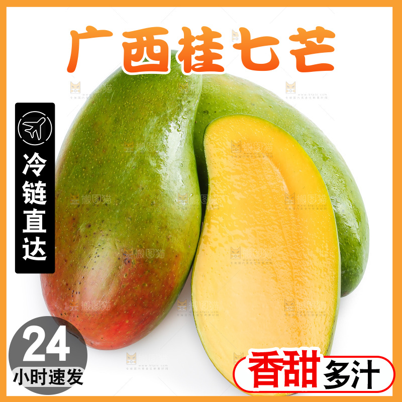 白底上的桂七芒