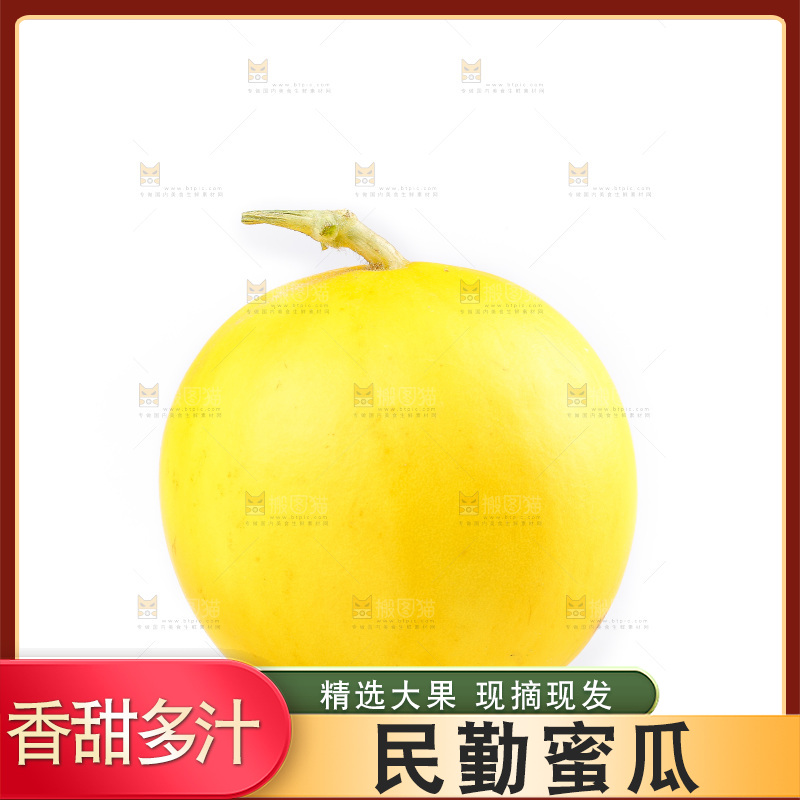 白底上的民勤蜜瓜
