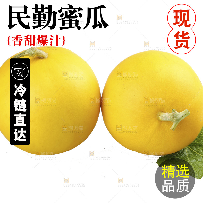 白底上的民勤蜜瓜