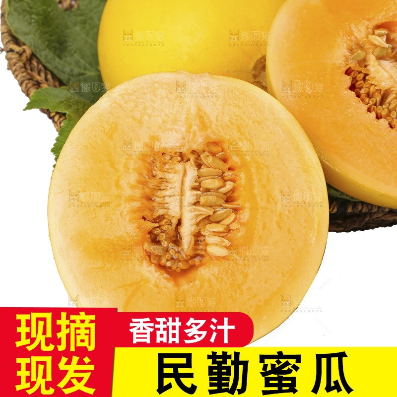 白底上的民勤蜜瓜
