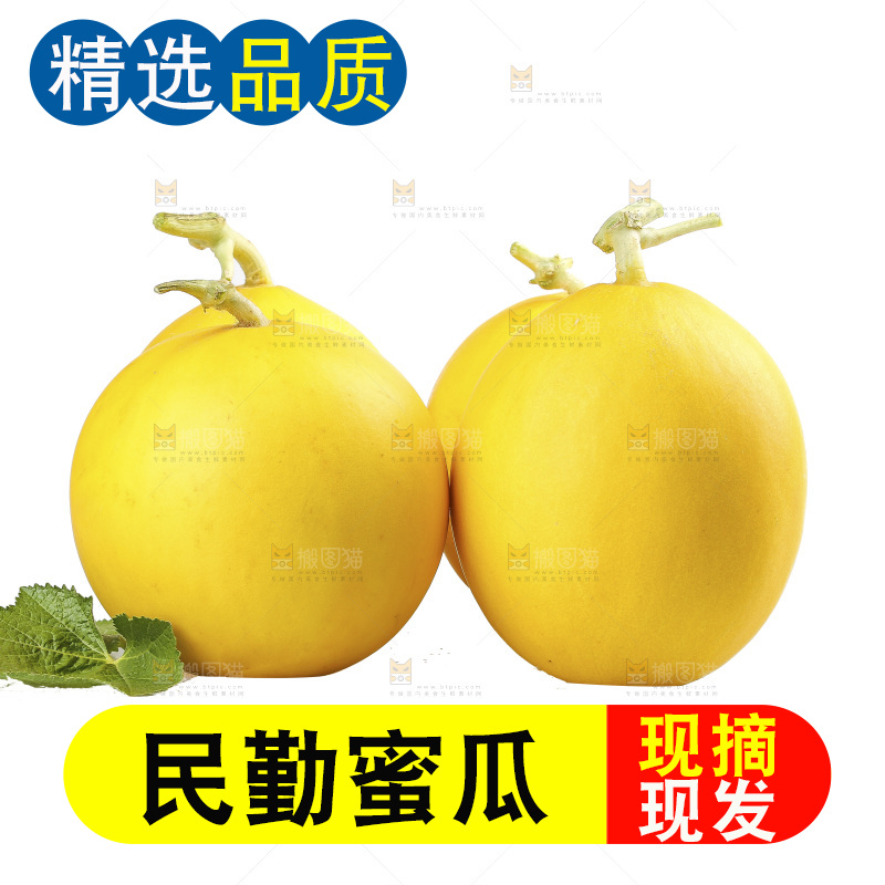 白底上的民勤蜜瓜