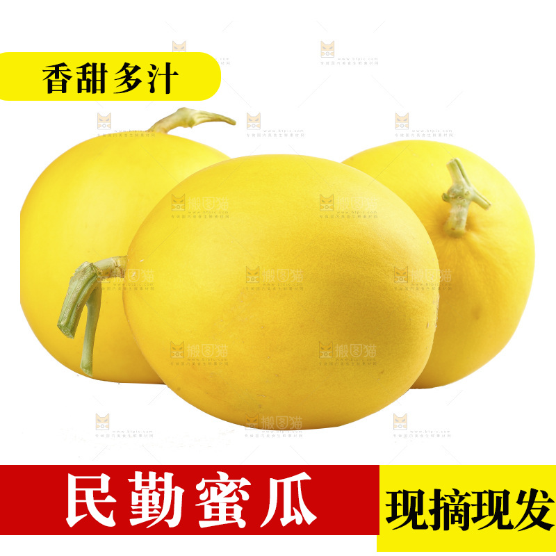 白底上的民勤蜜瓜