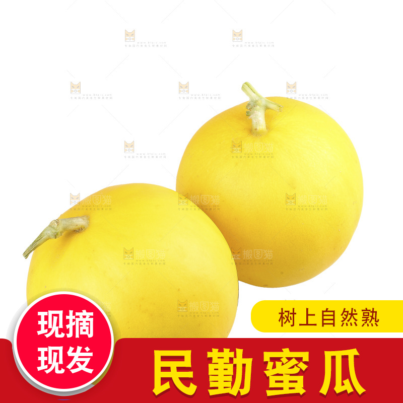 白底上的民勤蜜瓜
