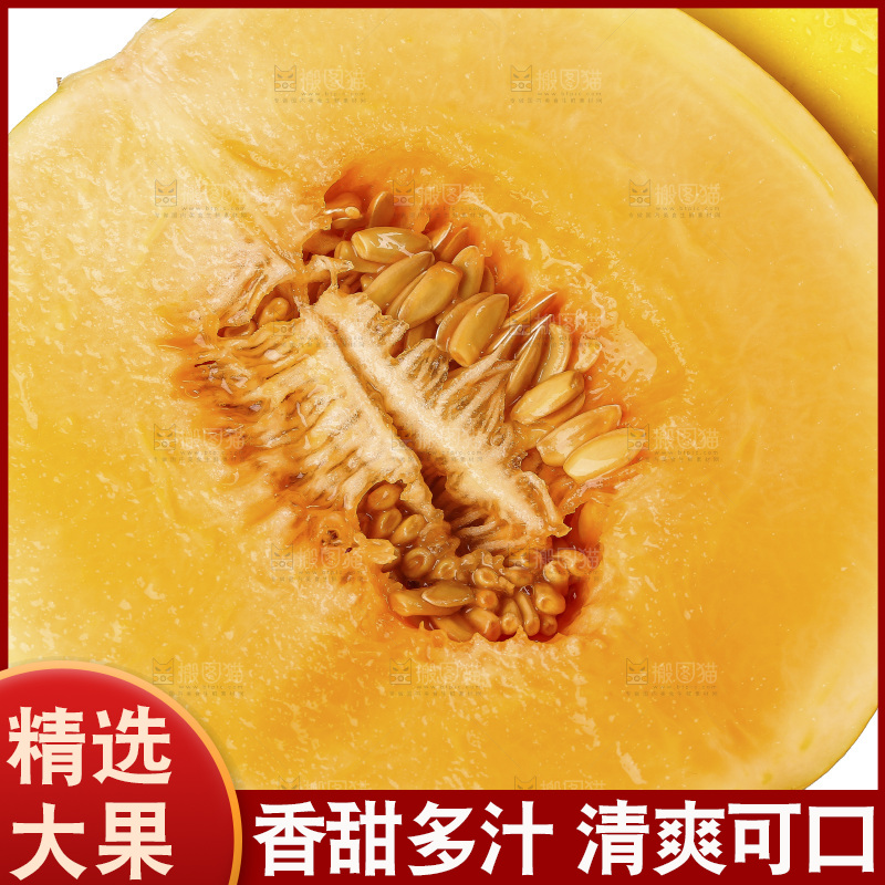 白底上的民勤蜜瓜