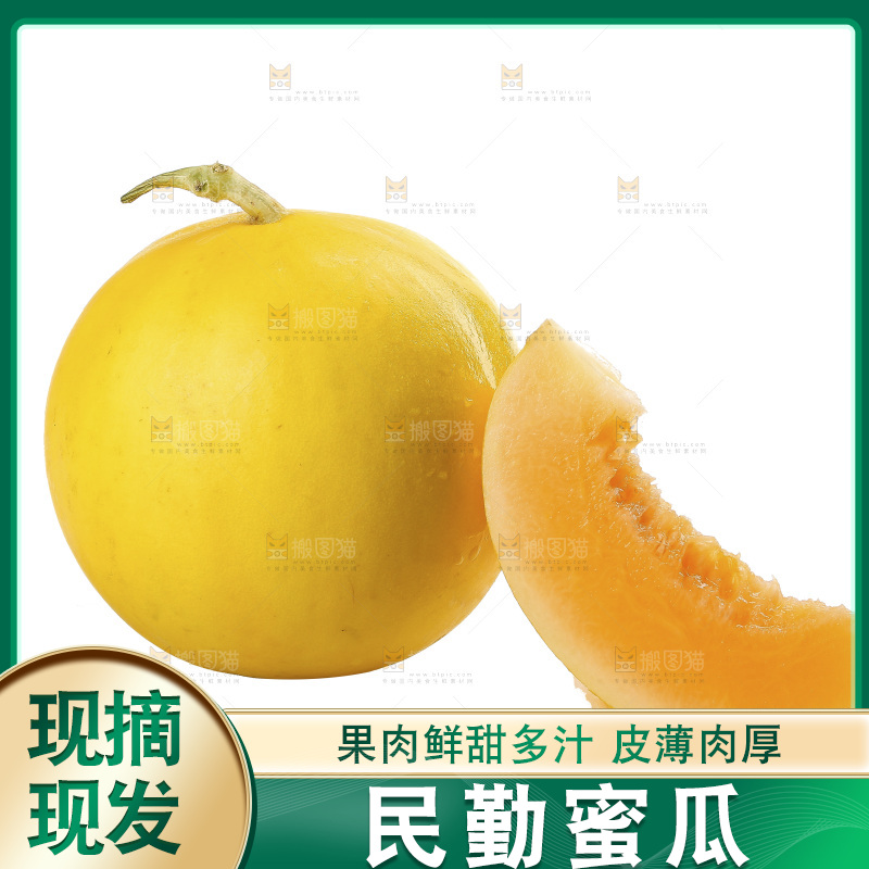 白底上的民勤蜜瓜