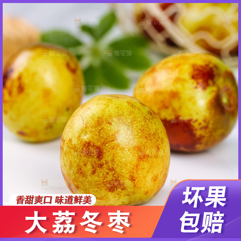 浅底上的冬枣