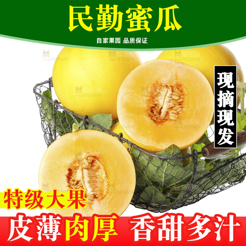 白底上的民勤蜜瓜