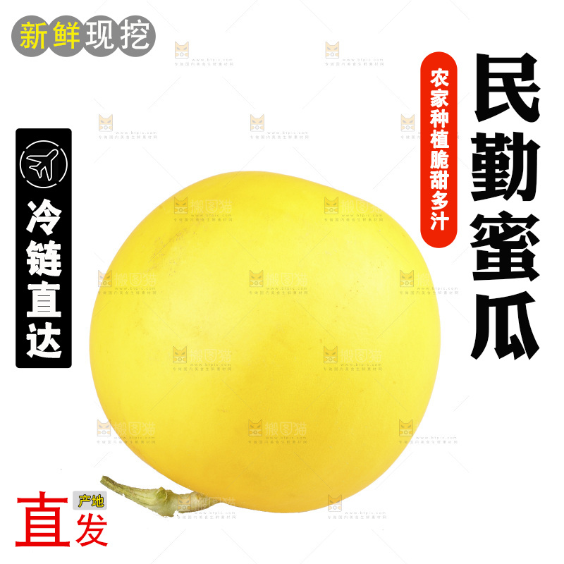白底上的民勤蜜瓜