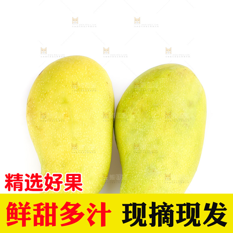 白底上的金煌芒