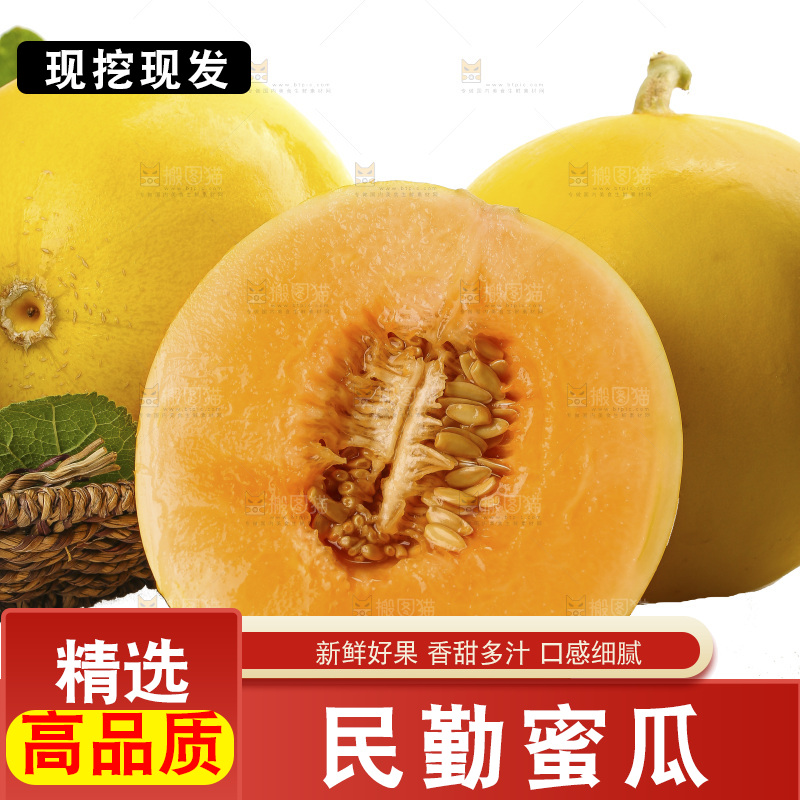 白底上的民勤蜜瓜