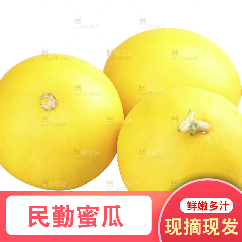 白底上的民勤蜜瓜