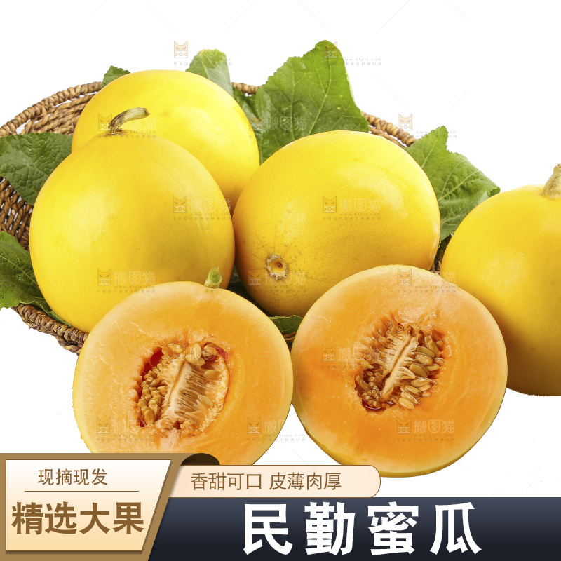 白底上的民勤蜜瓜