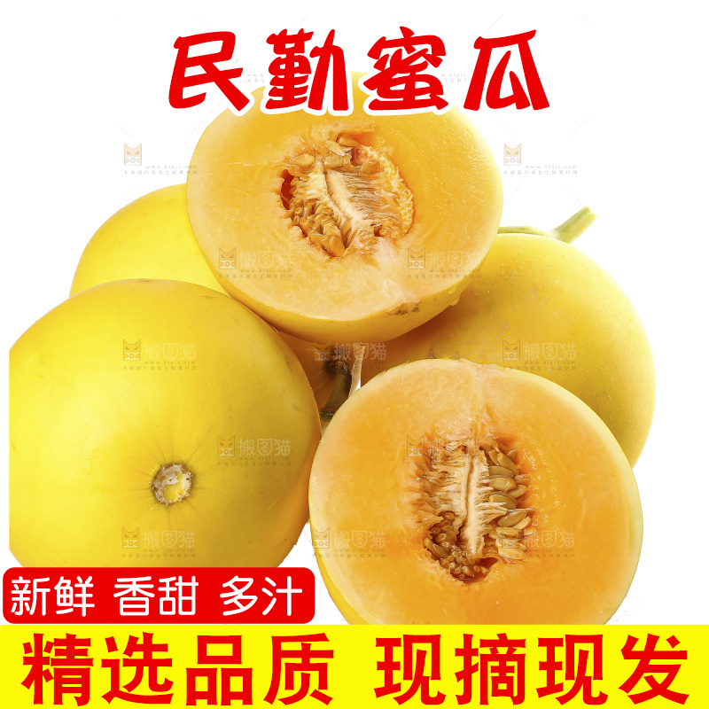 白底上的民勤蜜瓜