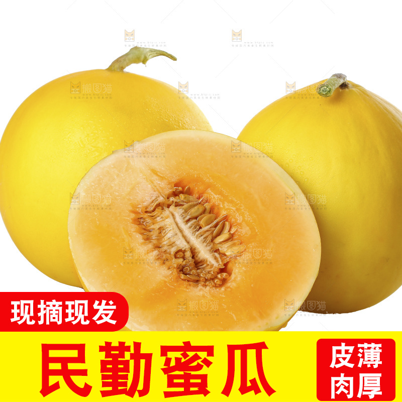 白底上的民勤蜜瓜