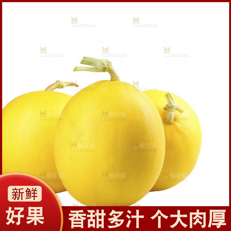 白底上的民勤蜜瓜