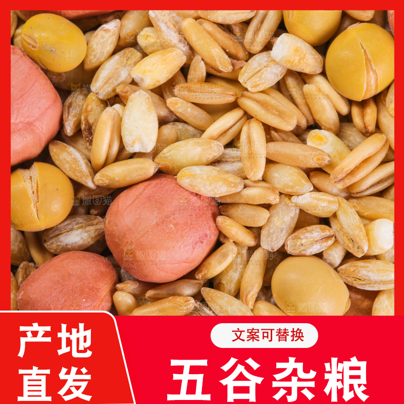 白底上的杂粮豆浆