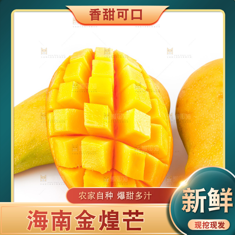 白底上的金煌芒