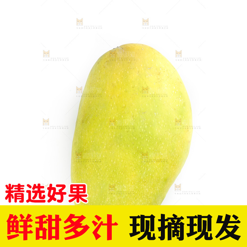 白底上的金煌芒