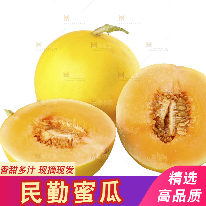白底上的民勤蜜瓜