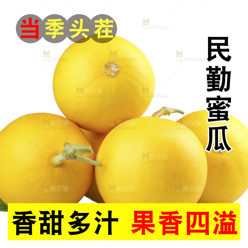 白底上的民勤蜜瓜