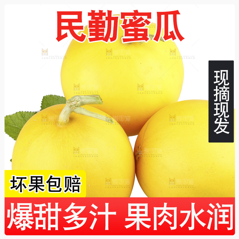 白底上的民勤蜜瓜