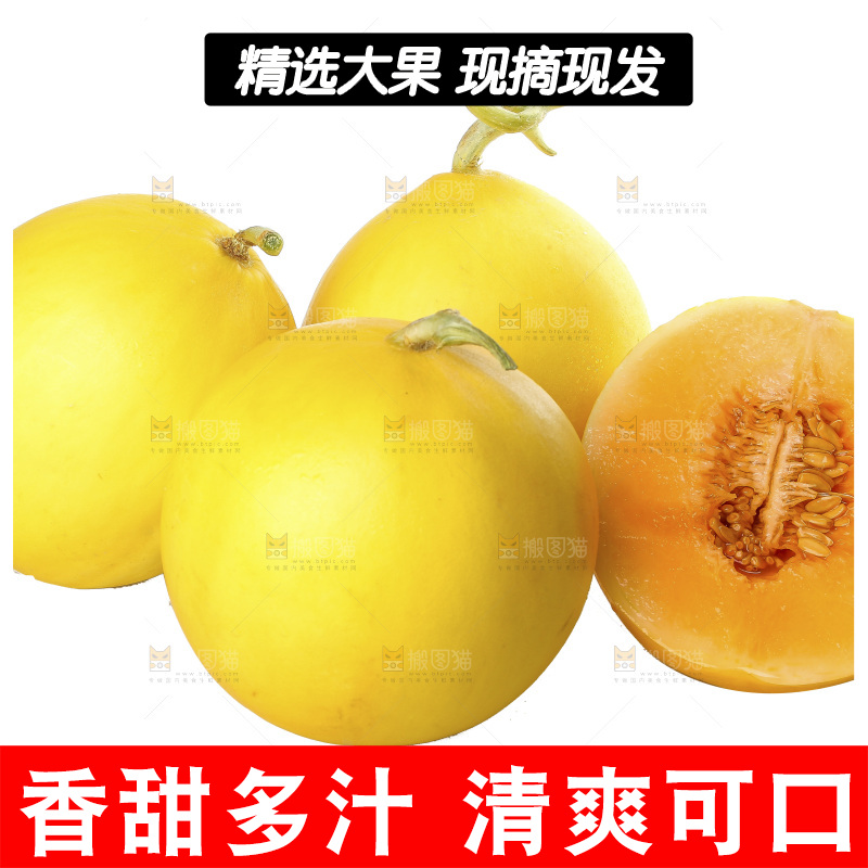 白底上的民勤蜜瓜