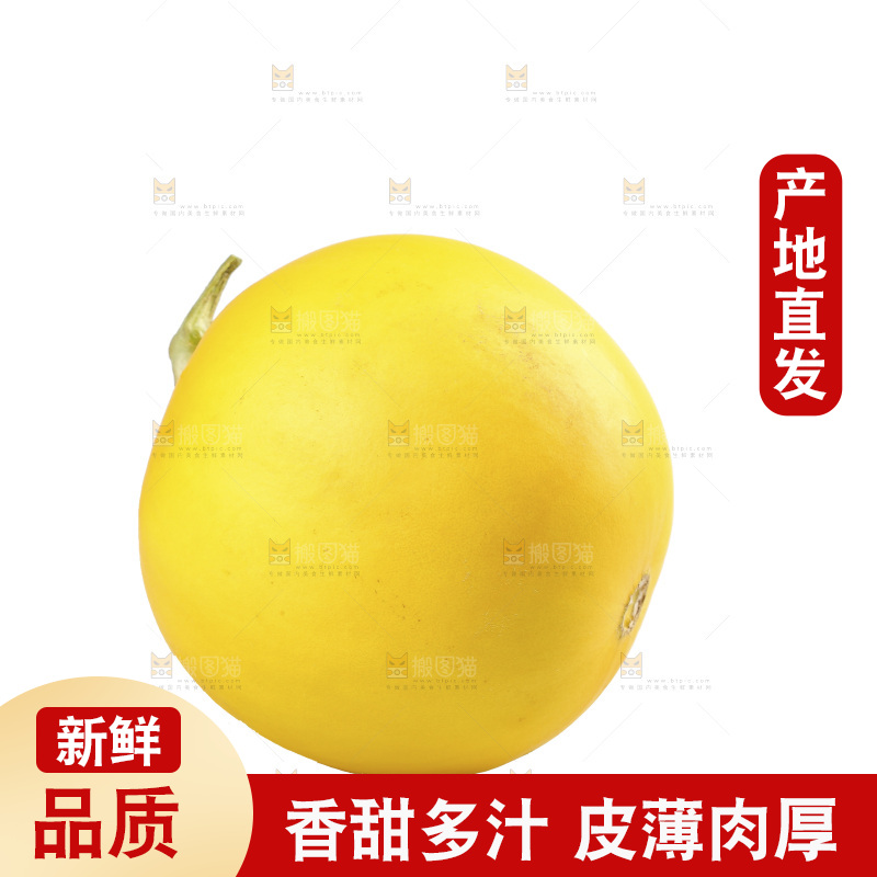 白底上的民勤蜜瓜