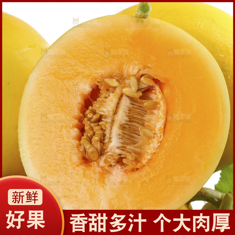 白底上的民勤蜜瓜