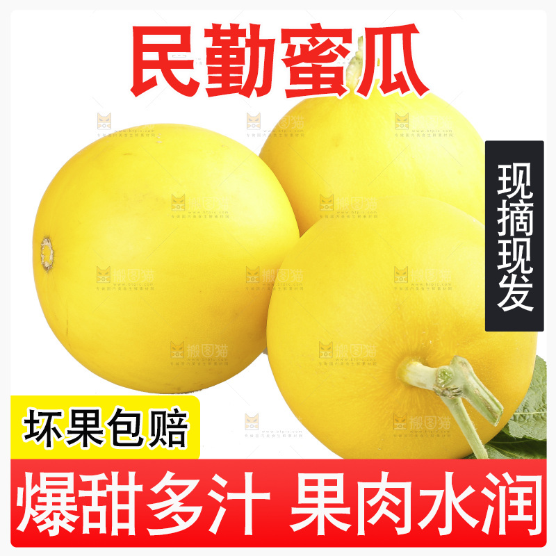 白底上的民勤蜜瓜