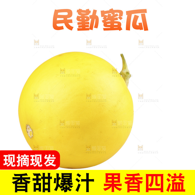 白底上的民勤蜜瓜