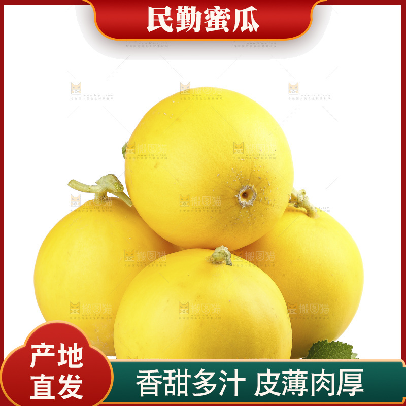 白底上的民勤蜜瓜