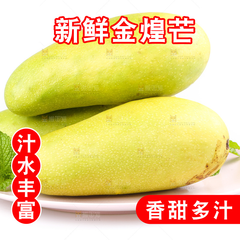 白底上的金煌芒