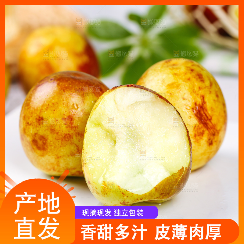 浅底上的冬枣