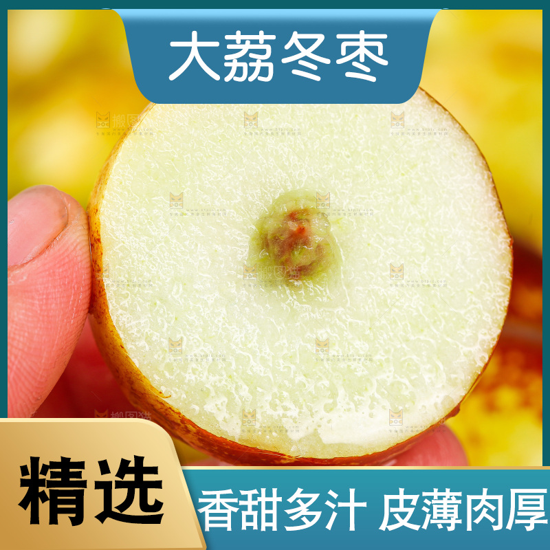浅底上的冬枣